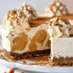 Cookie Butter No Bake Cheesecake